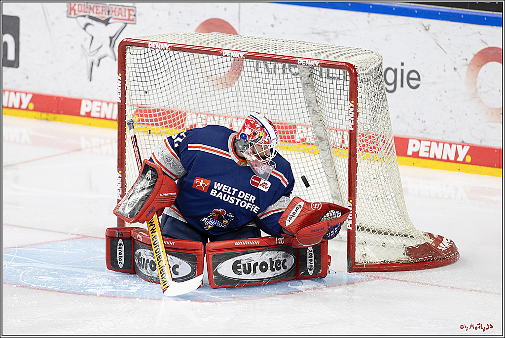 PENNY DEL 1; Kölner Haie - Iserlohn Roosters; Köln, 13.02.2024