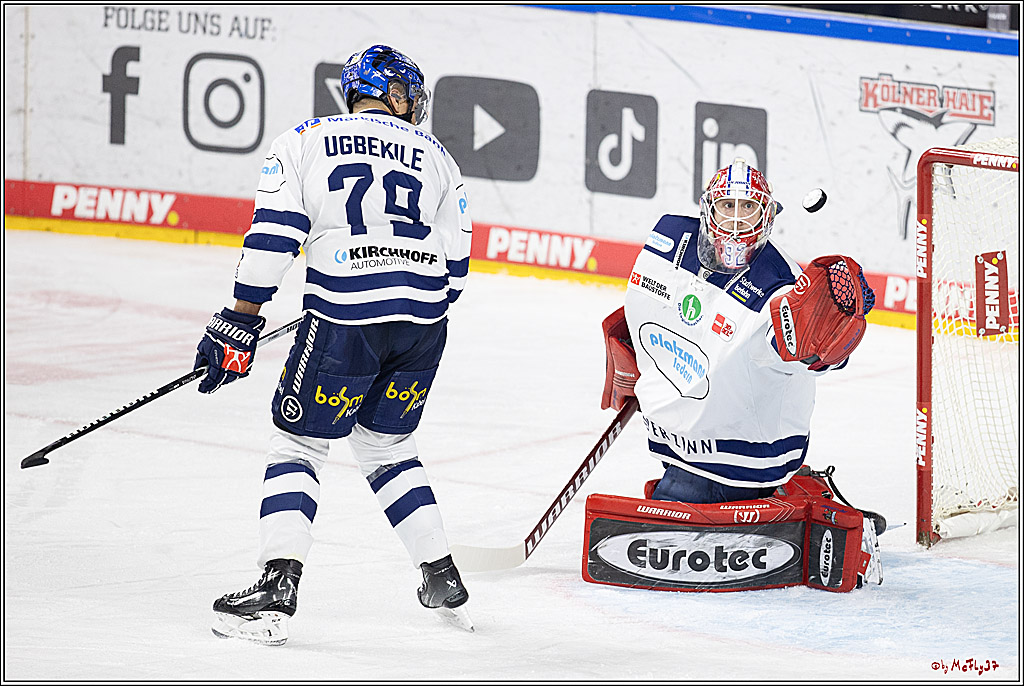 PENNY DEL 1; Kölner Haie - Iserlohn Roosters; Köln, 13.02.2024
