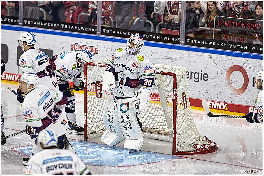 PENNY DEL: Kölner Haie - Eisbären Berlin; Köln, 21.02.2024