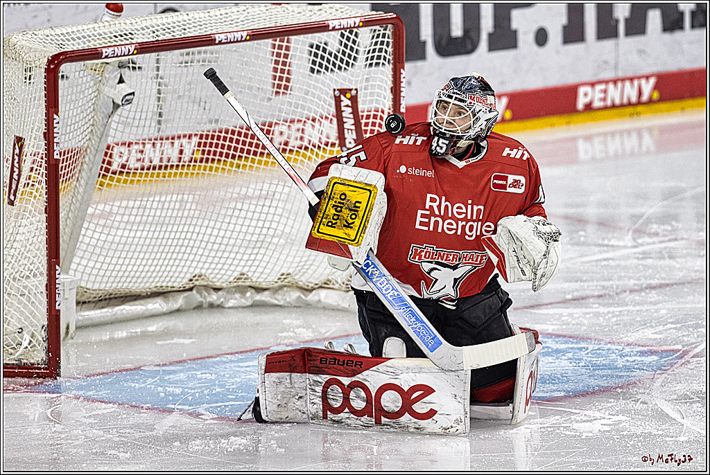 PENNY DEL: Kölner Haie - Eisbären Berlin; Köln, 21.02.2024