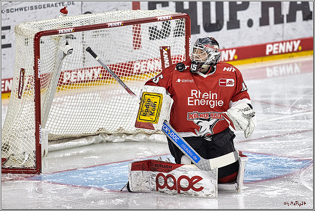 PENNY DEL: Kölner Haie - Eisbären Berlin; Köln, 21.02.2024