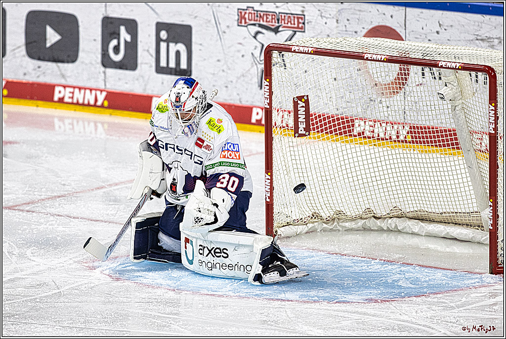 PENNY DEL: Kölner Haie - Eisbären Berlin; Köln, 21.02.2024