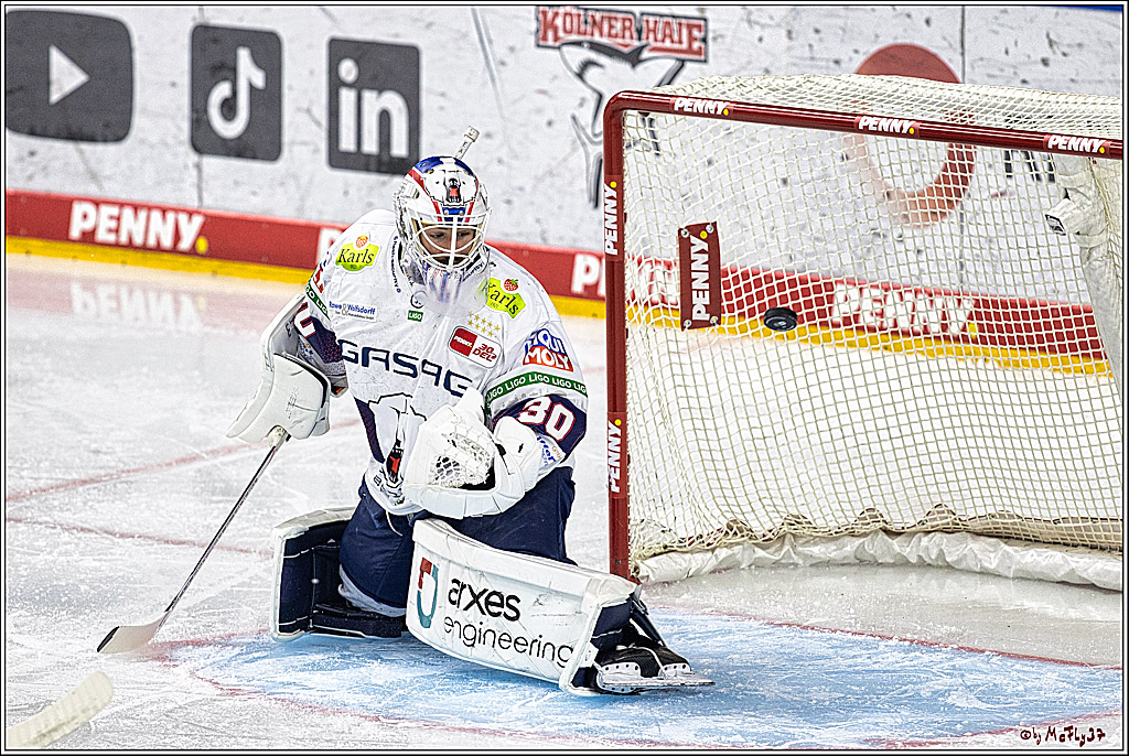 PENNY DEL: Kölner Haie - Eisbären Berlin; Köln, 21.02.2024