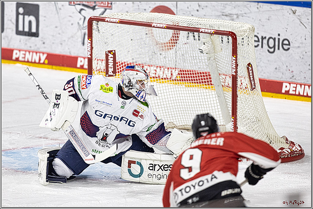 PENNY DEL: Kölner Haie - Eisbären Berlin; Köln, 21.02.2024