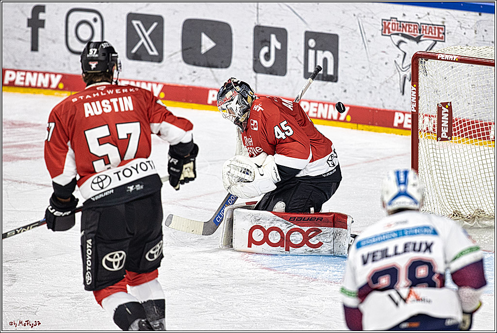 PENNY DEL: Kölner Haie - Eisbären Berlin; Köln, 21.02.2024
