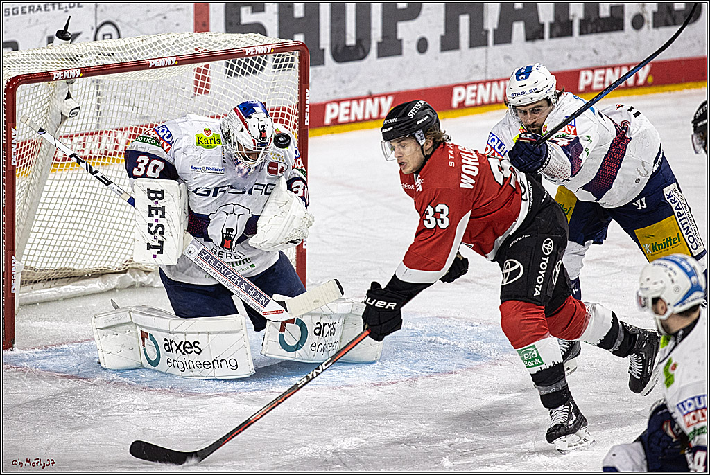 PENNY DEL: Kölner Haie - Eisbären Berlin; Köln, 21.02.2024