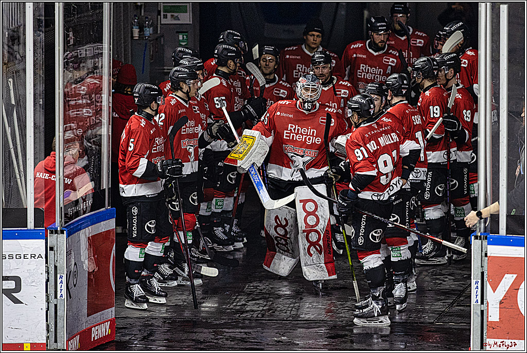 PENNY DEL: Kölner Haie - Eisbären Berlin; Köln, 21.02.2024