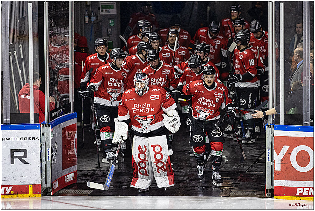 PENNY DEL: Kölner Haie - Eisbären Berlin; Köln, 21.02.2024
