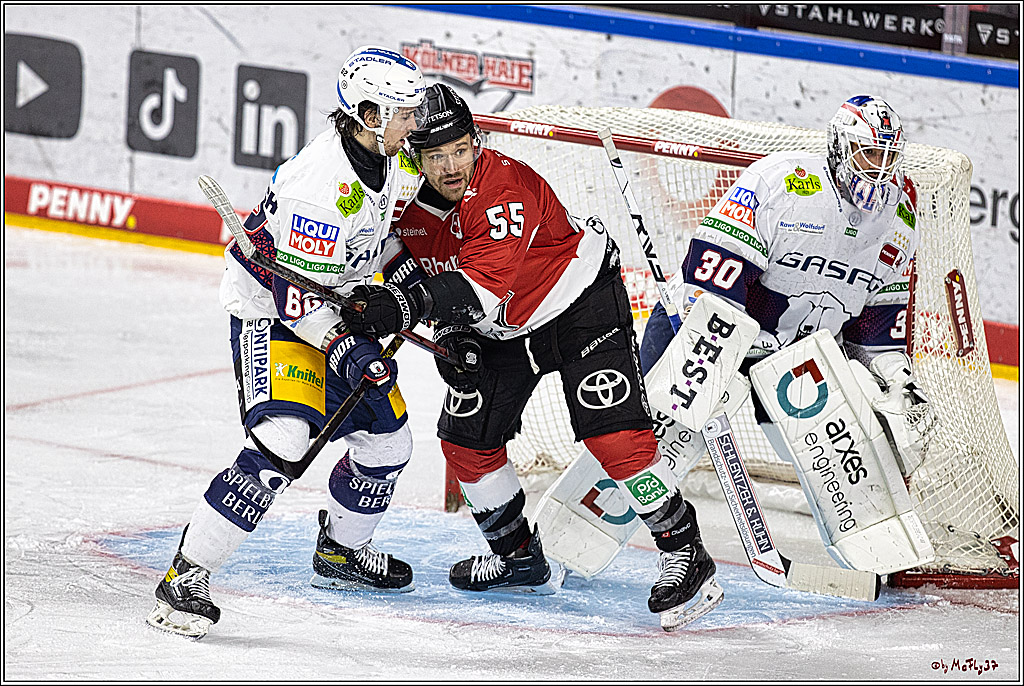 PENNY DEL: Kölner Haie - Eisbären Berlin; Köln, 21.02.2024
