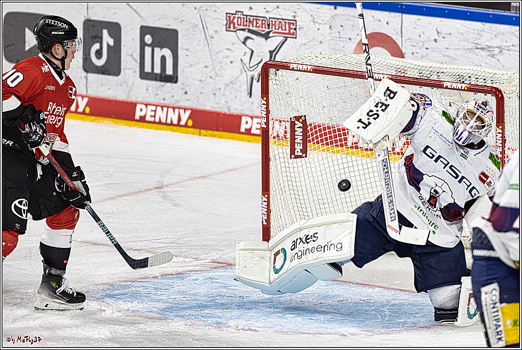 PENNY DEL: Kölner Haie - Eisbären Berlin; Köln, 21.02.2024