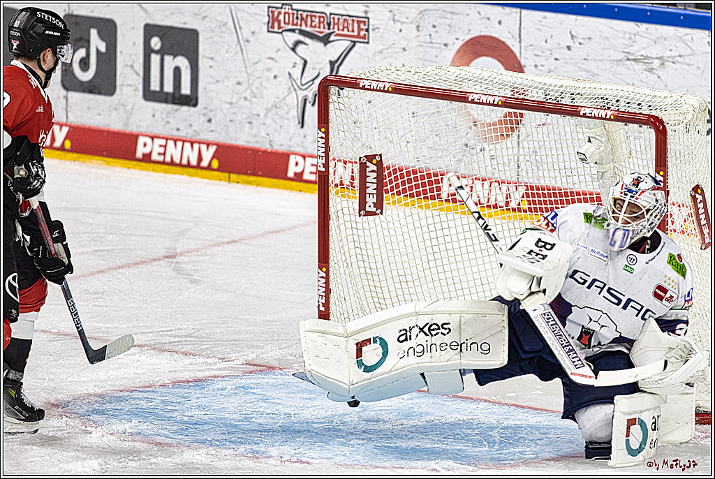 PENNY DEL: Kölner Haie - Eisbären Berlin; Köln, 21.02.2024