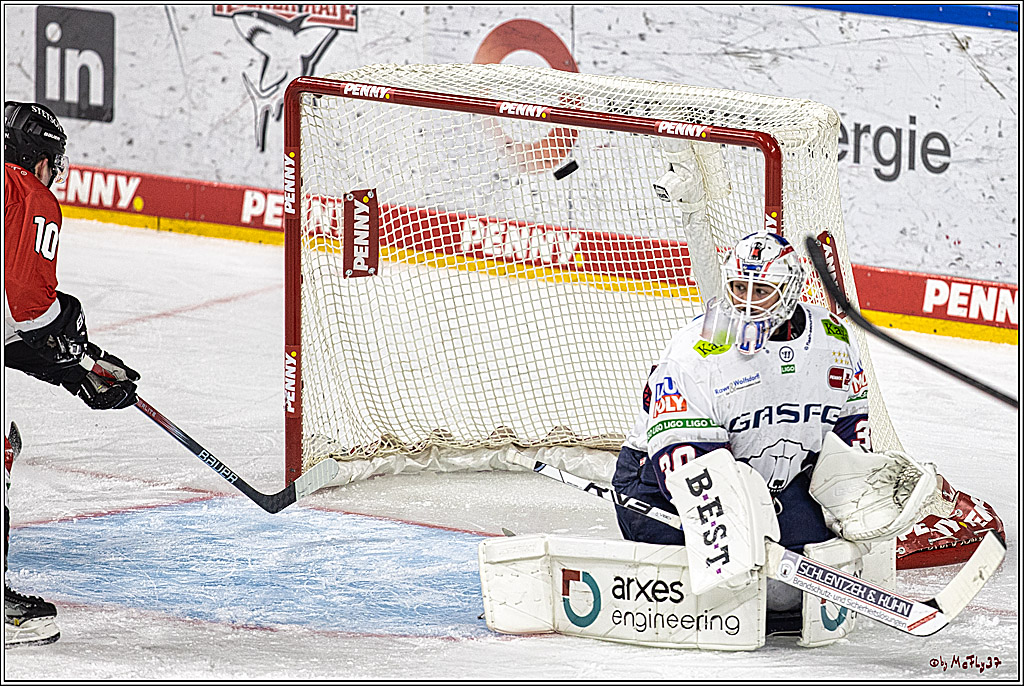 PENNY DEL: Kölner Haie - Eisbären Berlin; Köln, 21.02.2024
