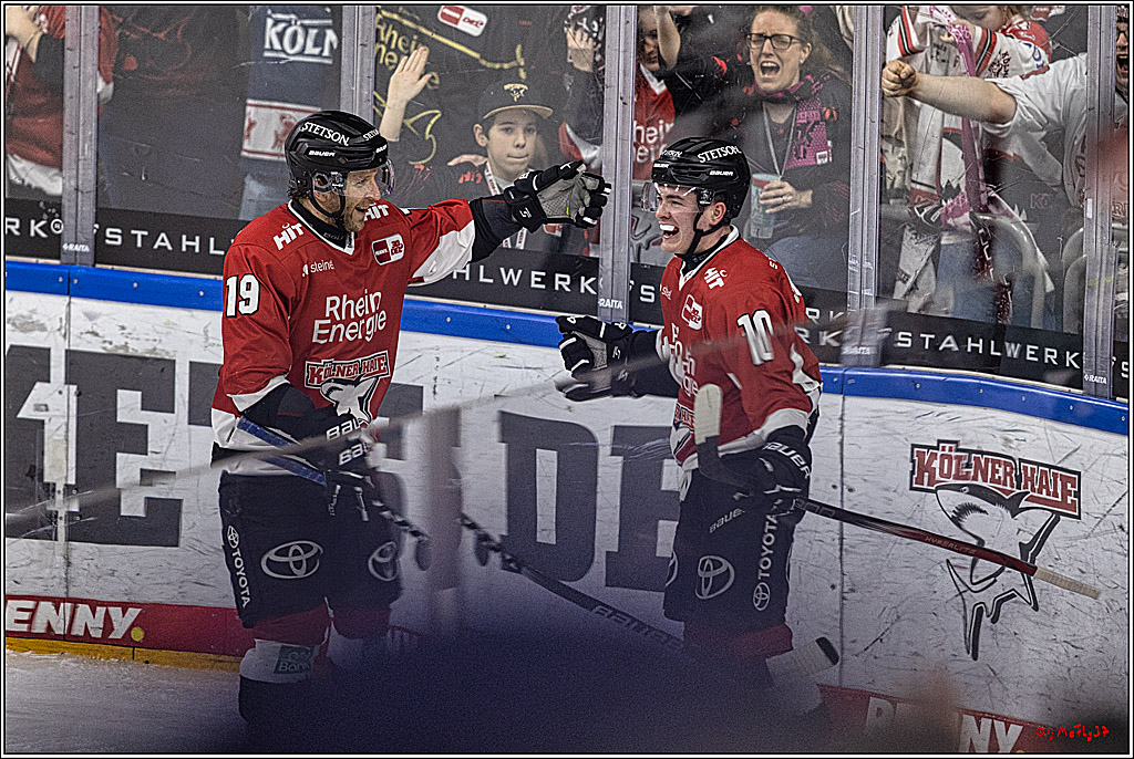 PENNY DEL: Kölner Haie - Eisbären Berlin; Köln, 21.02.2024