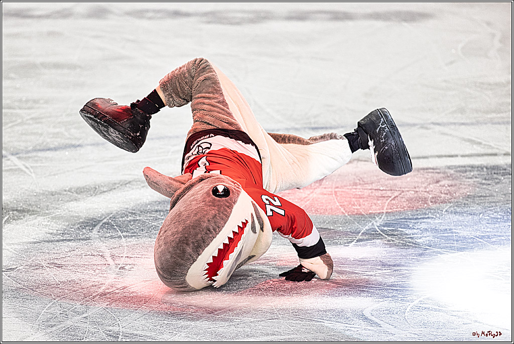 PENNY DEL: Kölner Haie - Eisbären Berlin; Köln, 21.02.2024
