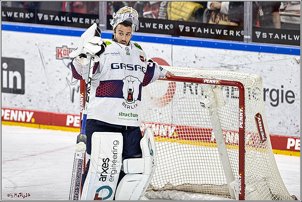 PENNY DEL: Kölner Haie - Eisbären Berlin; Köln, 21.02.2024