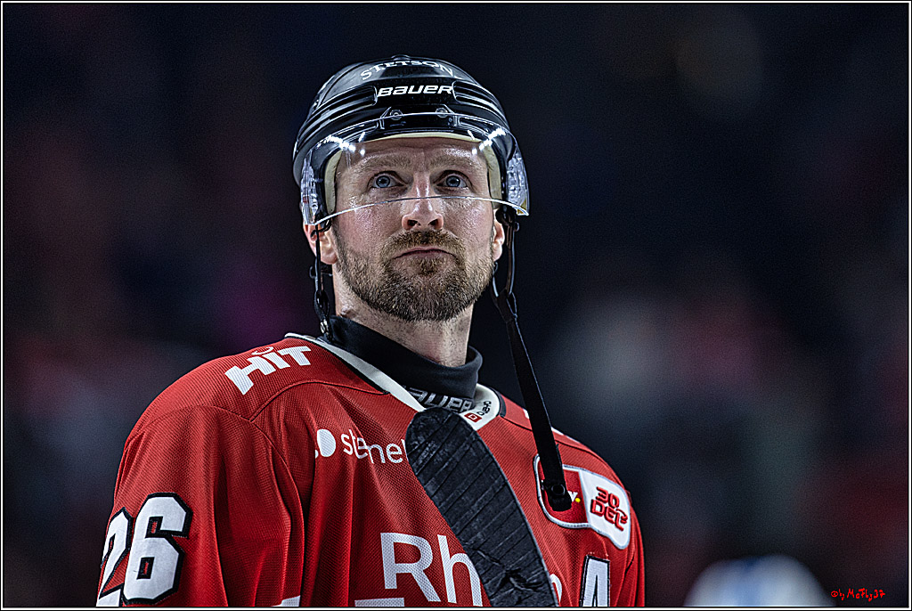 PENNY DEL: Kölner Haie - Eisbären Berlin; Köln, 21.02.2024