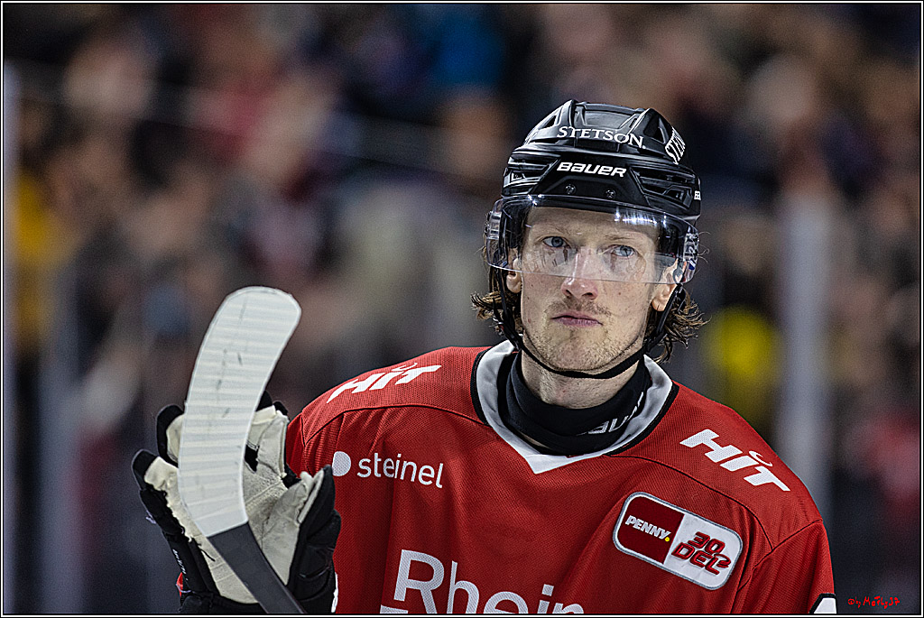 PENNY DEL: Kölner Haie - Eisbären Berlin; Köln, 21.02.2024