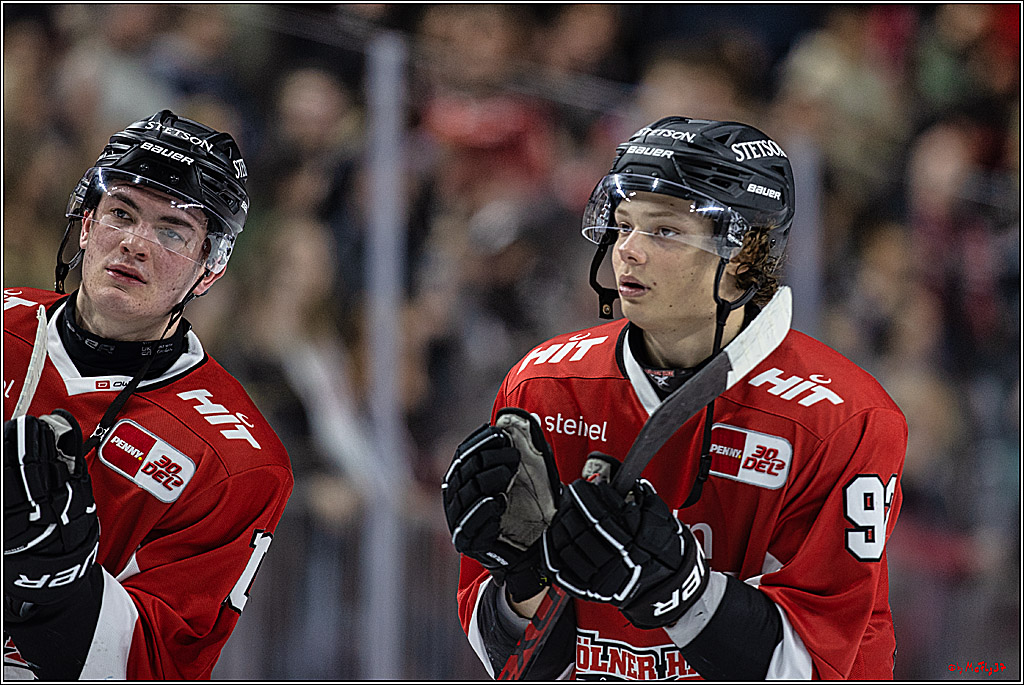 PENNY DEL: Kölner Haie - Eisbären Berlin; Köln, 21.02.2024