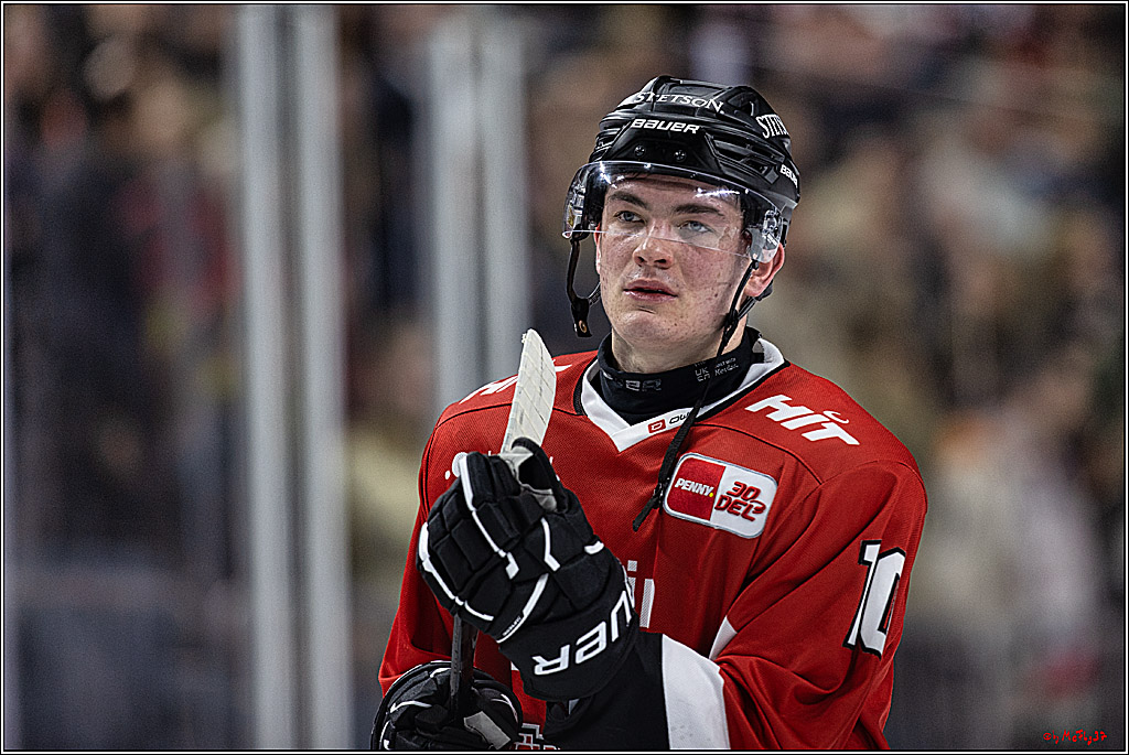 PENNY DEL: Kölner Haie - Eisbären Berlin; Köln, 21.02.2024