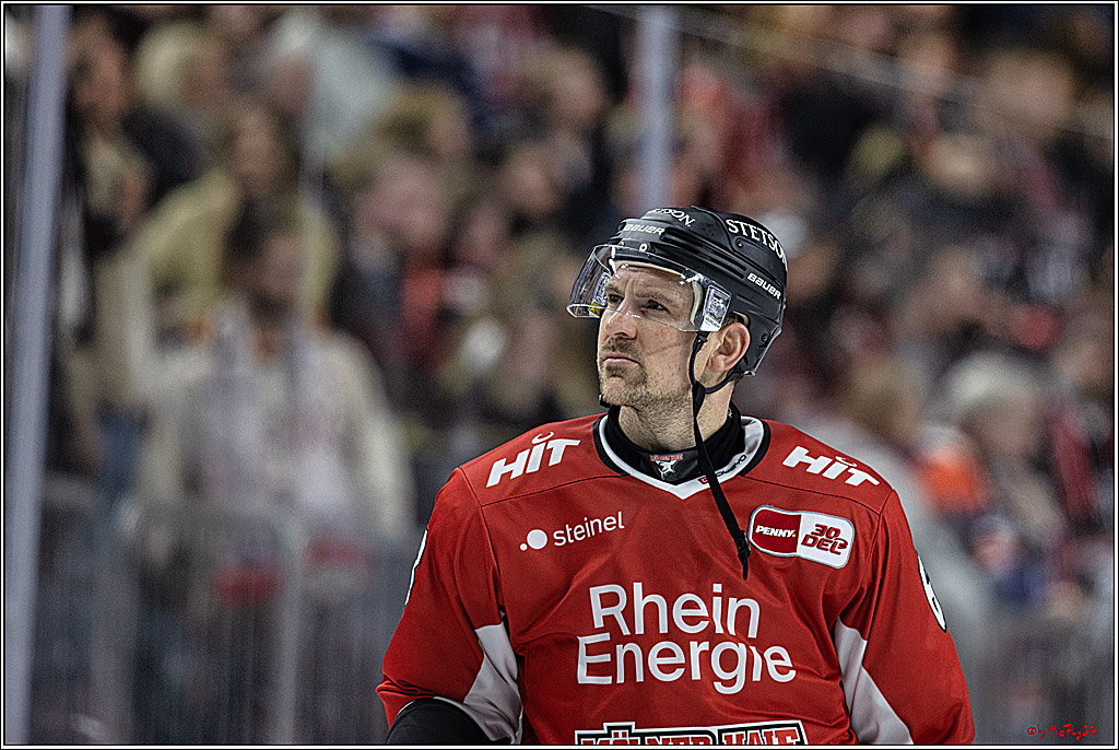 PENNY DEL: Kölner Haie - Eisbären Berlin; Köln, 21.02.2024