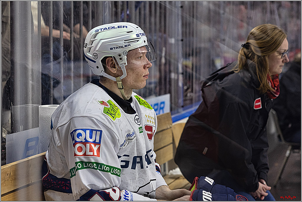 PENNY DEL: Kölner Haie - Eisbären Berlin; Köln, 21.02.2024
