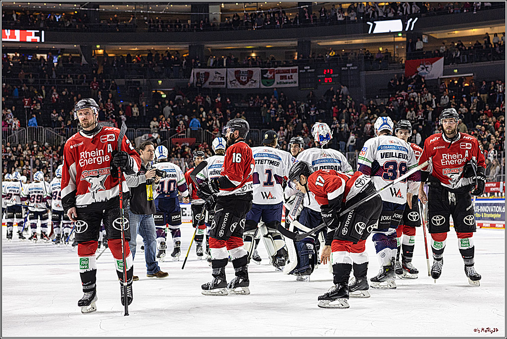 PENNY DEL: Kölner Haie - Eisbären Berlin; Köln, 21.02.2024