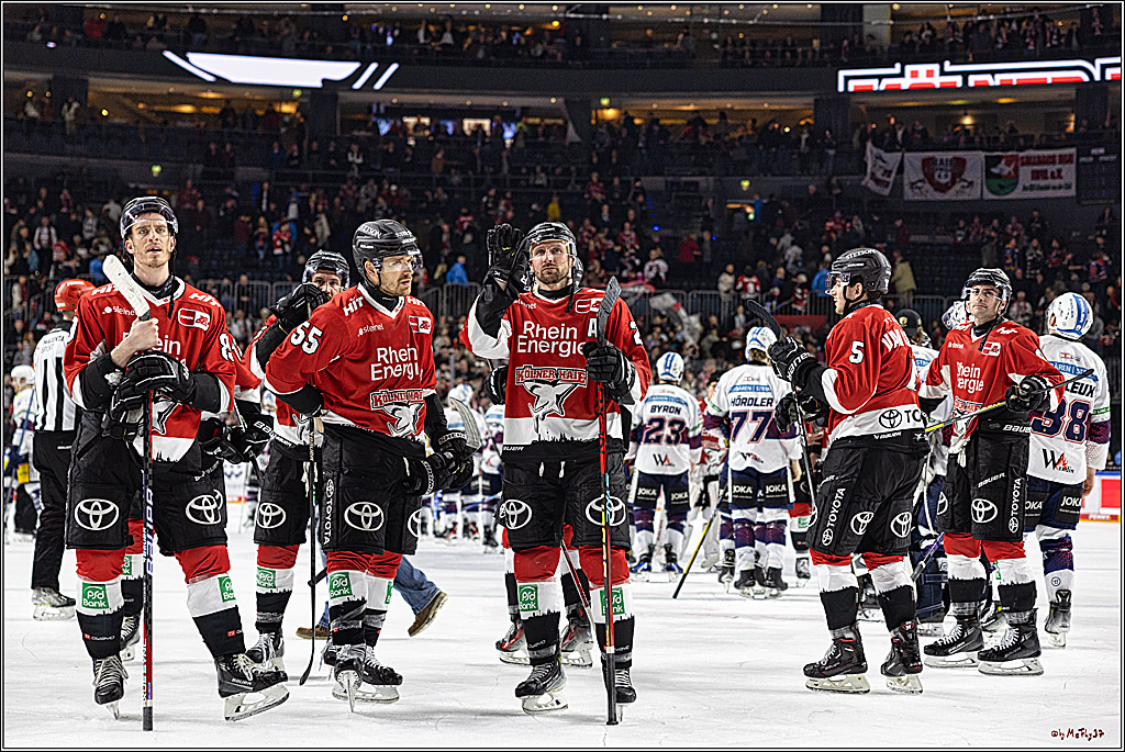 PENNY DEL: Kölner Haie - Eisbären Berlin; Köln, 21.02.2024