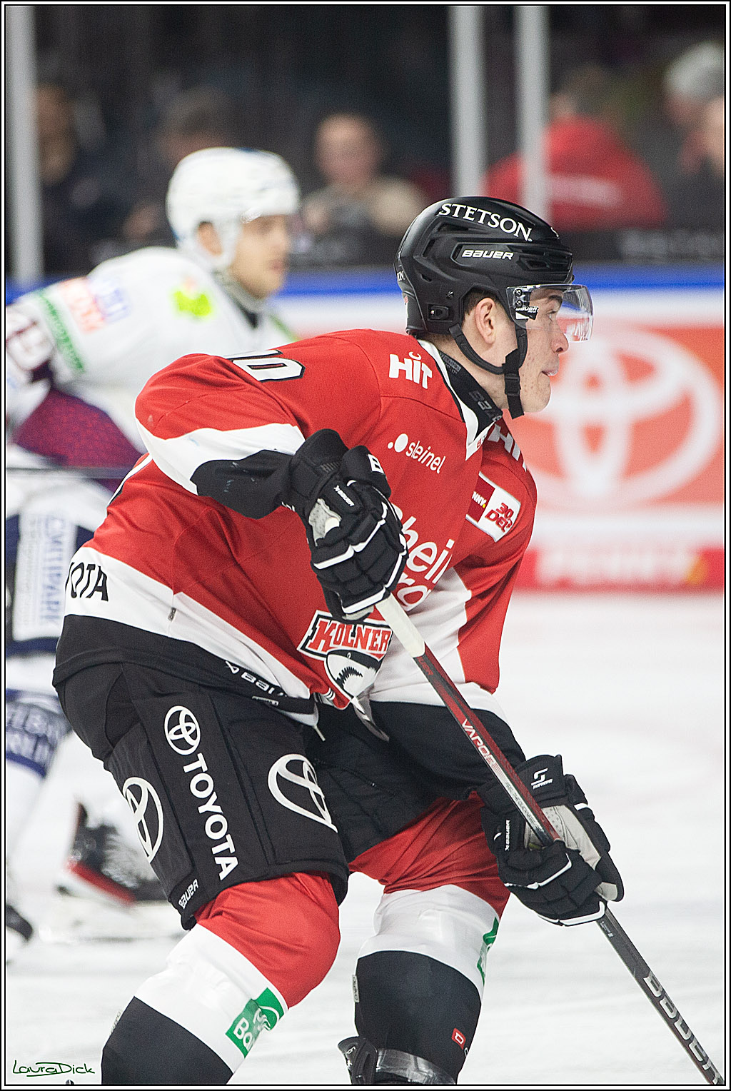PENNY DEL; Koelner Haie-Eisbaeren Berlin; Koeln, 21.02.2024