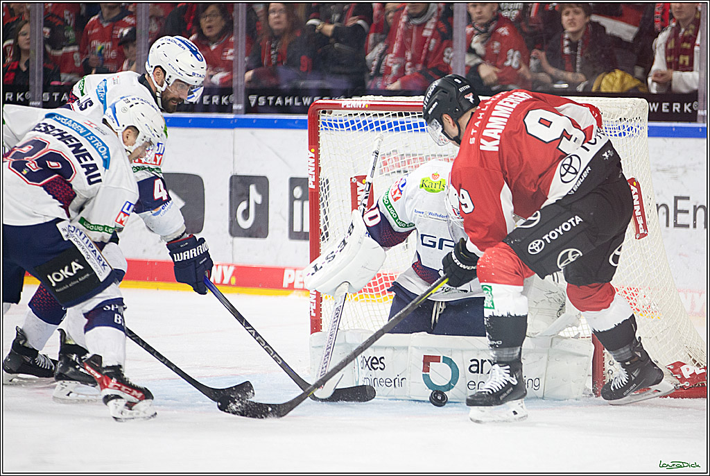 PENNY DEL; Koelner Haie-Eisbaeren Berlin; Koeln, 21.02.2024