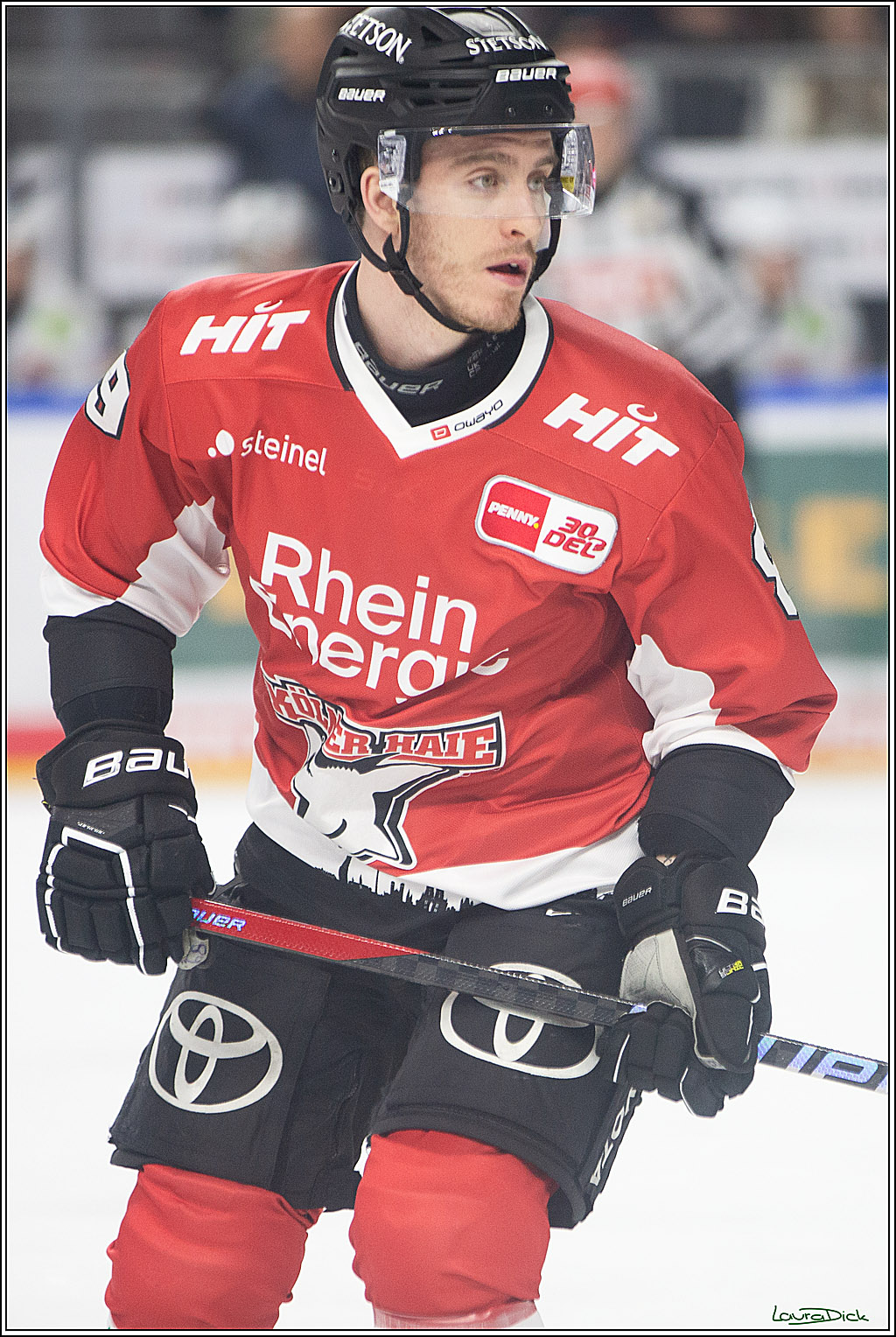 PENNY DEL; Koelner Haie-Eisbaeren Berlin; Koeln, 21.02.2024