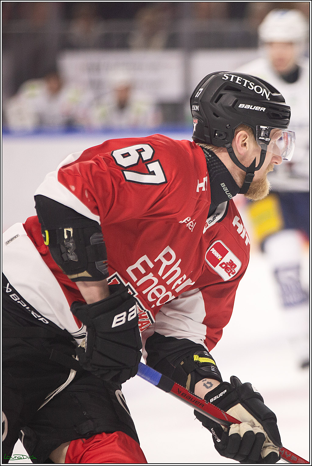 PENNY DEL; Koelner Haie-Eisbaeren Berlin; Koeln, 21.02.2024