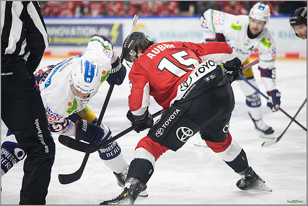 PENNY DEL; Koelner Haie-Eisbaeren Berlin; Koeln, 21.02.2024