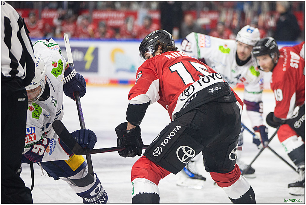 PENNY DEL; Koelner Haie-Eisbaeren Berlin; Koeln, 21.02.2024