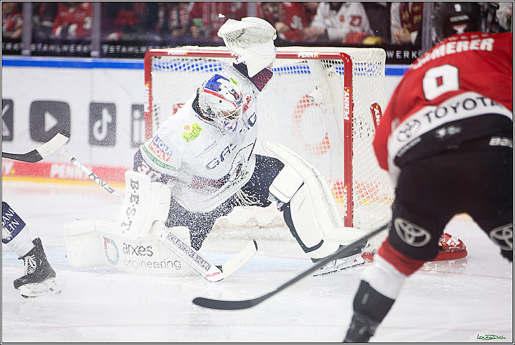 PENNY DEL; Koelner Haie-Eisbaeren Berlin; Koeln, 21.02.2024