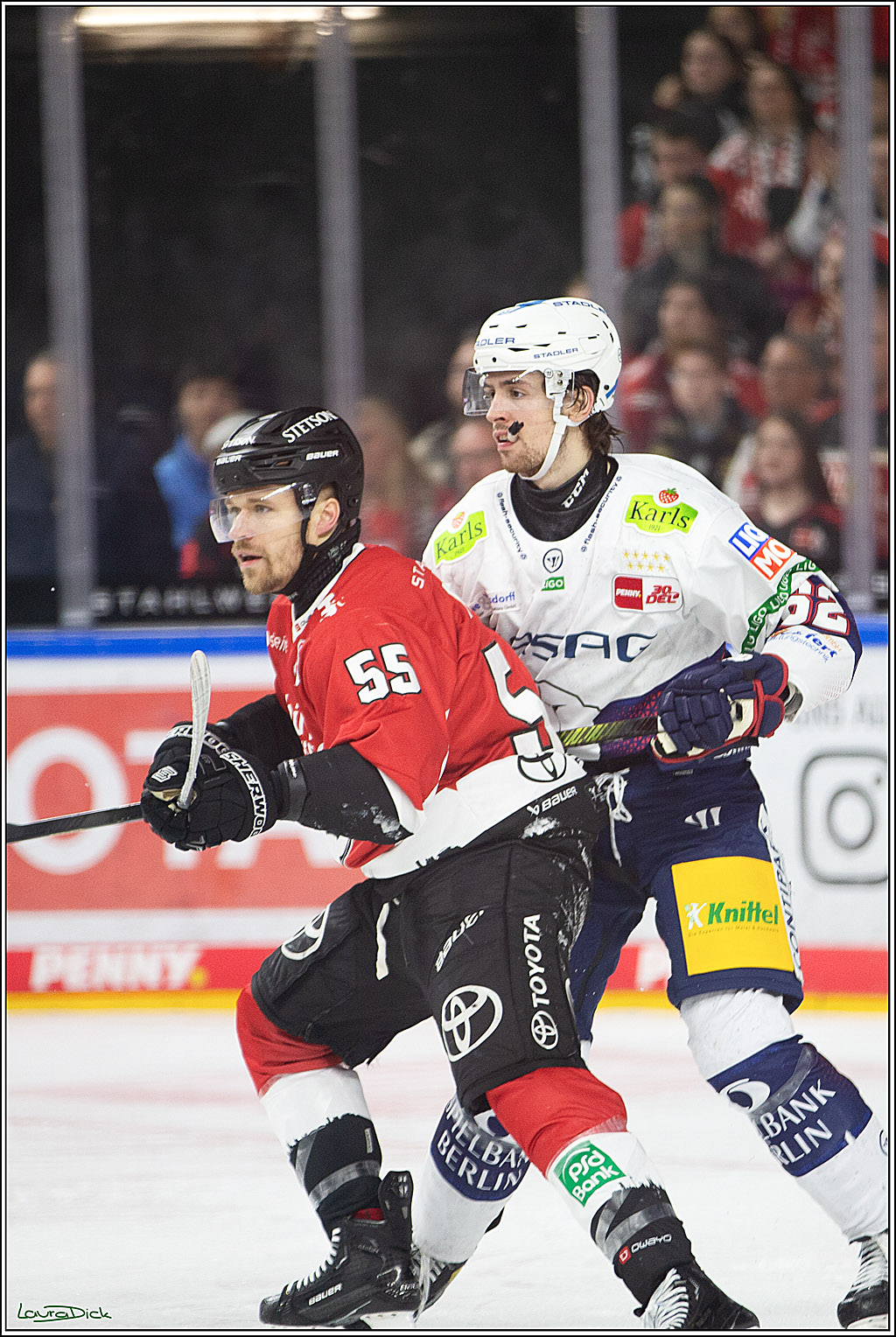 PENNY DEL; Koelner Haie-Eisbaeren Berlin; Koeln, 21.02.2024