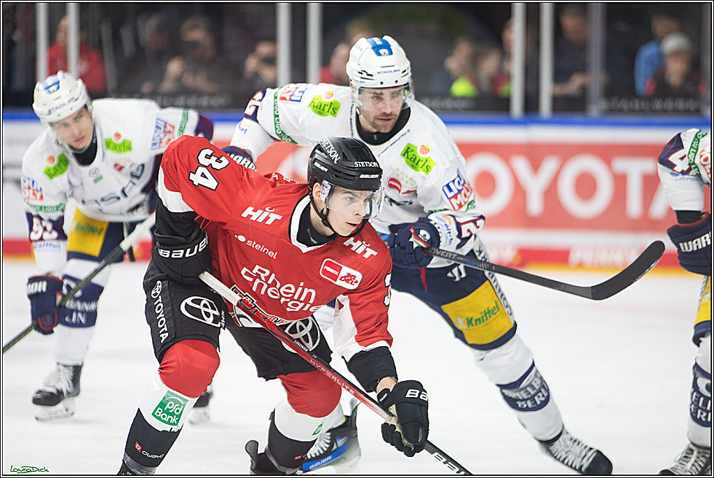 PENNY DEL; Koelner Haie-Eisbaeren Berlin; Koeln, 21.02.2024