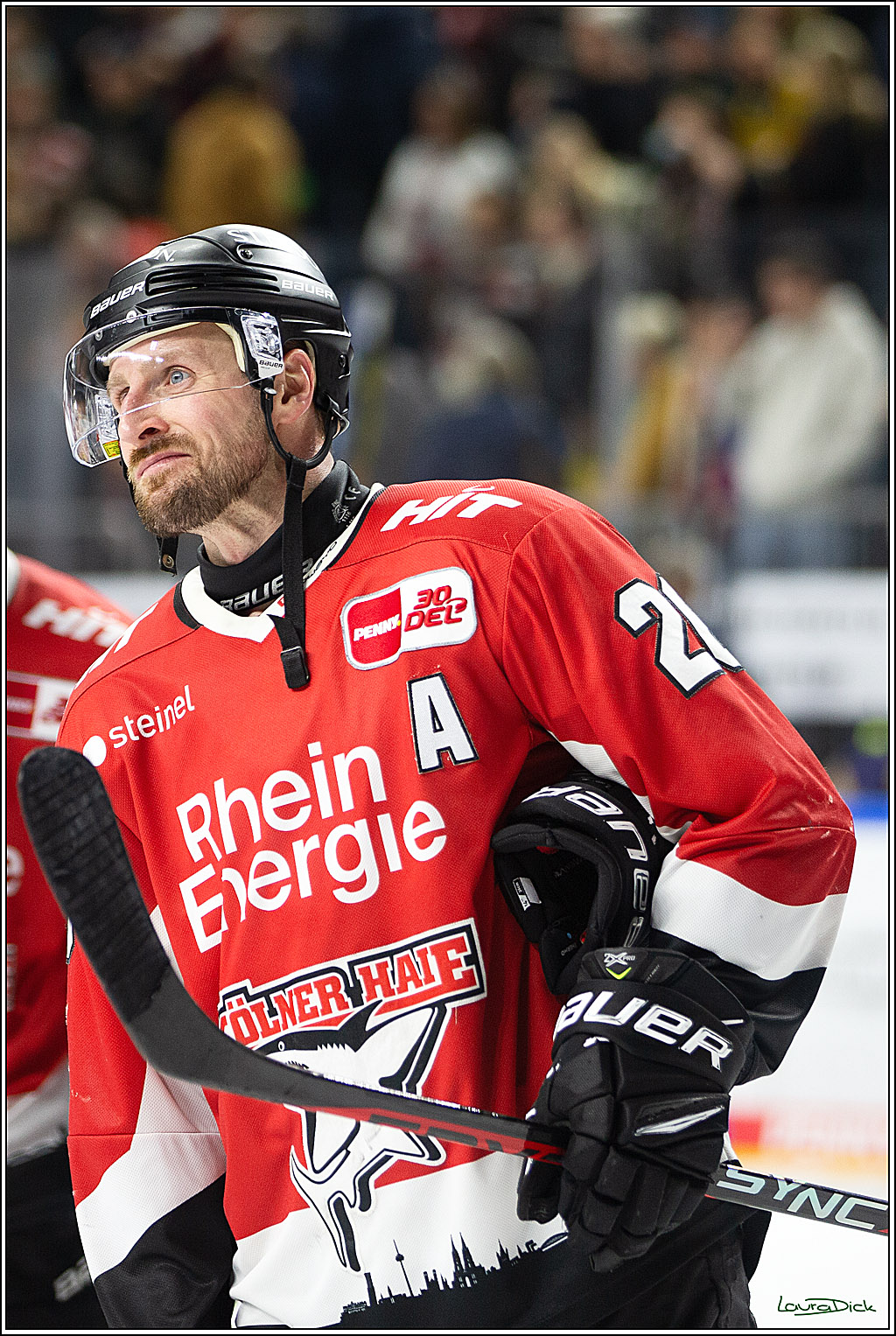PENNY DEL; Koelner Haie-Eisbaeren Berlin; Koeln, 21.02.2024