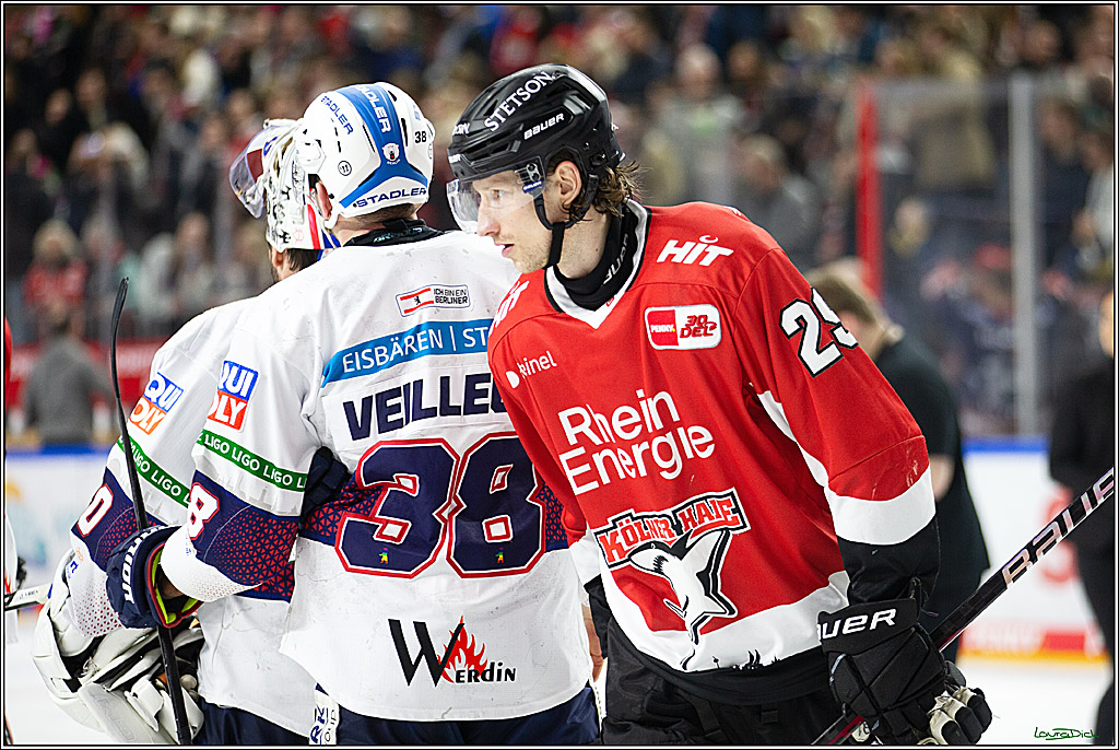 PENNY DEL; Koelner Haie-Eisbaeren Berlin; Koeln, 21.02.2024