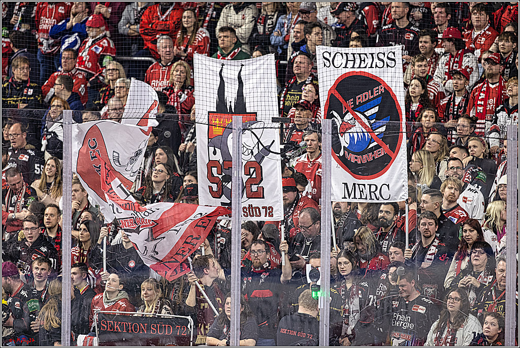 PENNY DEL: Kölner Haie - Adler Mannheim; Köln, 08.03.2024
