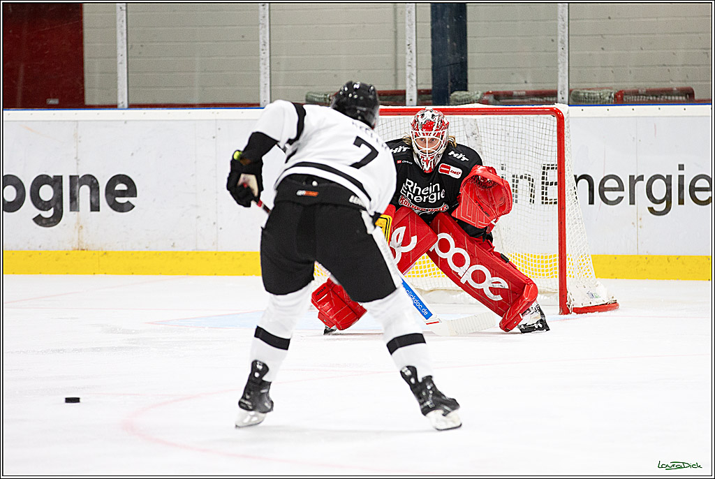 PENNY DEL;Testspiel Koelner Haie- Pioneers Vorarlberg; Koeln, 08.09.2024