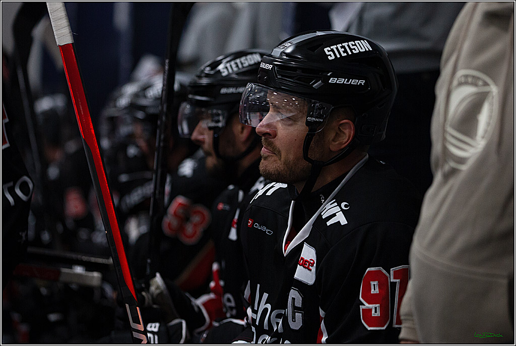 PENNY DEL;Testspiel Koelner Haie- Pioneers Vorarlberg; Koeln, 08.09.2024
