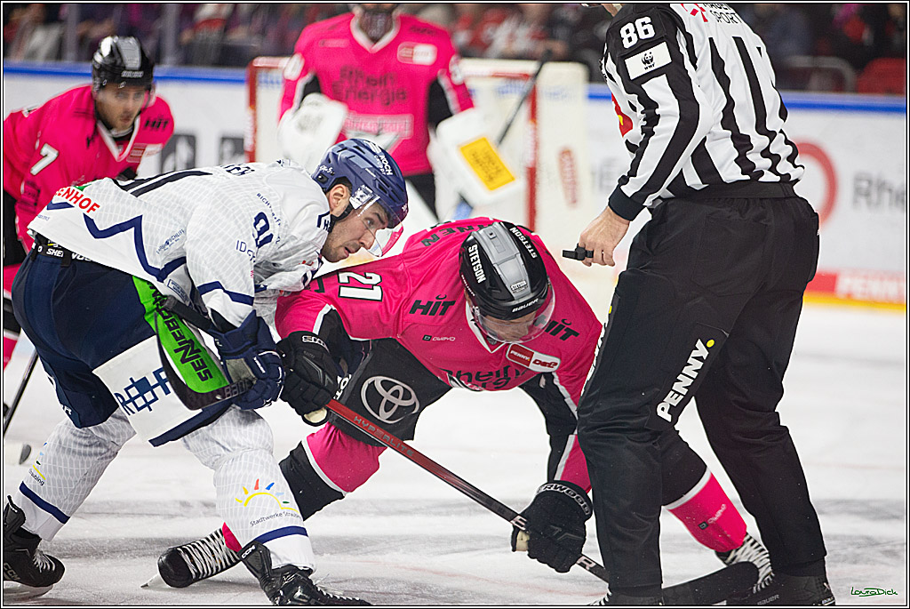 PENNY DEL; Koelner Haie- Staubing Tigers; Koeln, 03.10.2024