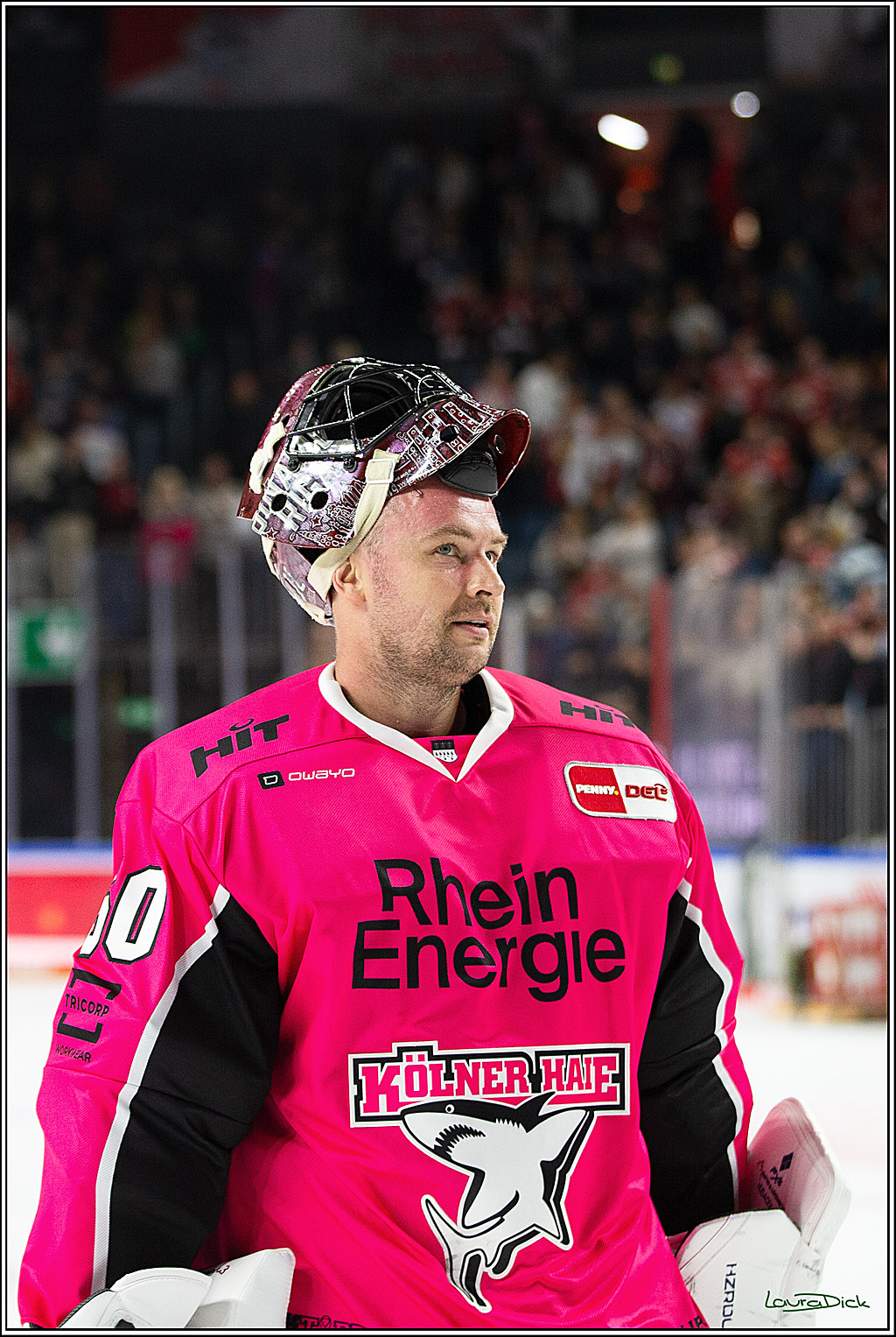 PENNY DEL; Koelner Haie- Staubing Tigers; Koeln, 03.10.2024