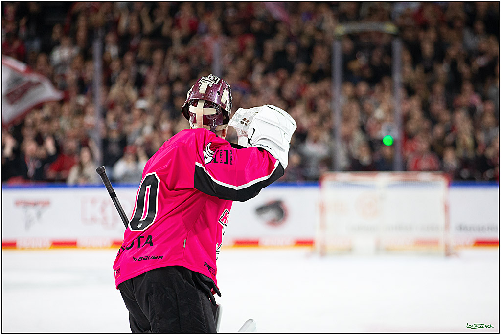 PENNY DEL; Koelner Haie- Staubing Tigers; Koeln, 03.10.2024
