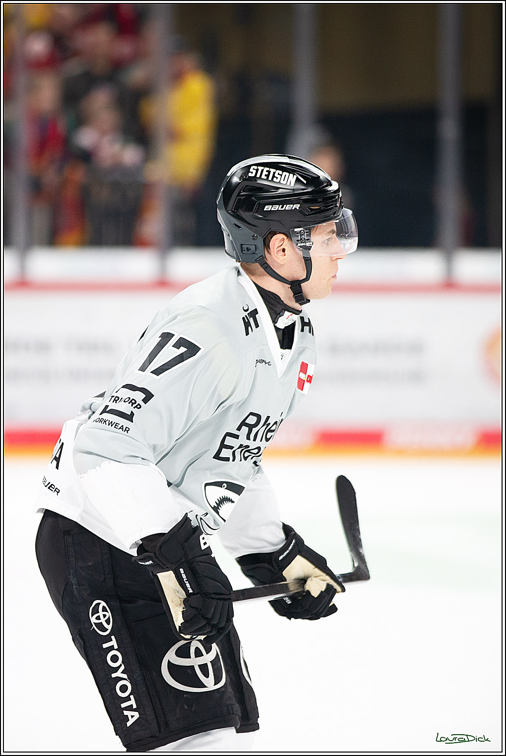 PENNY DEL; Duesseldorfer EG-Koelner Haie; Duesseldorf, 18.10.2024