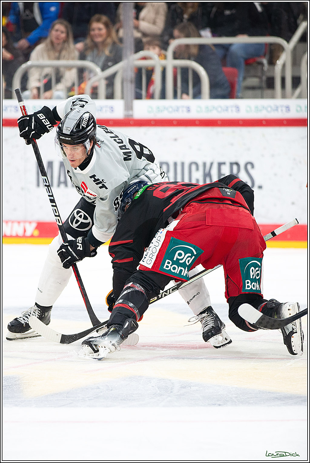 PENNY DEL; Duesseldorfer EG-Koelner Haie; Duesseldorf, 18.10.2024