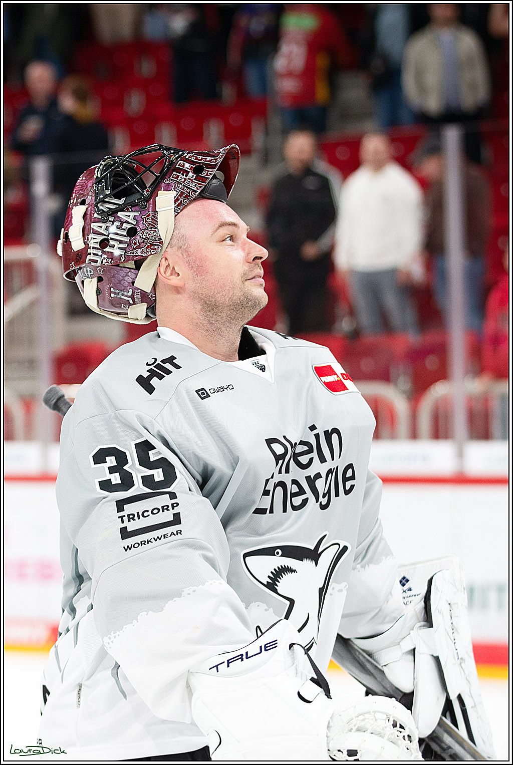 PENNY DEL; Duesseldorfer EG-Koelner Haie; Duesseldorf, 18.10.2024