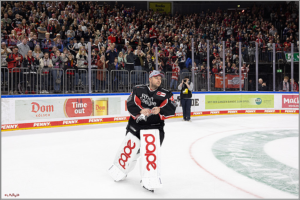 PENNY DEL 1; Kölner Haie - Grizzlys Wolfsburg; Köln, 27.10.2024