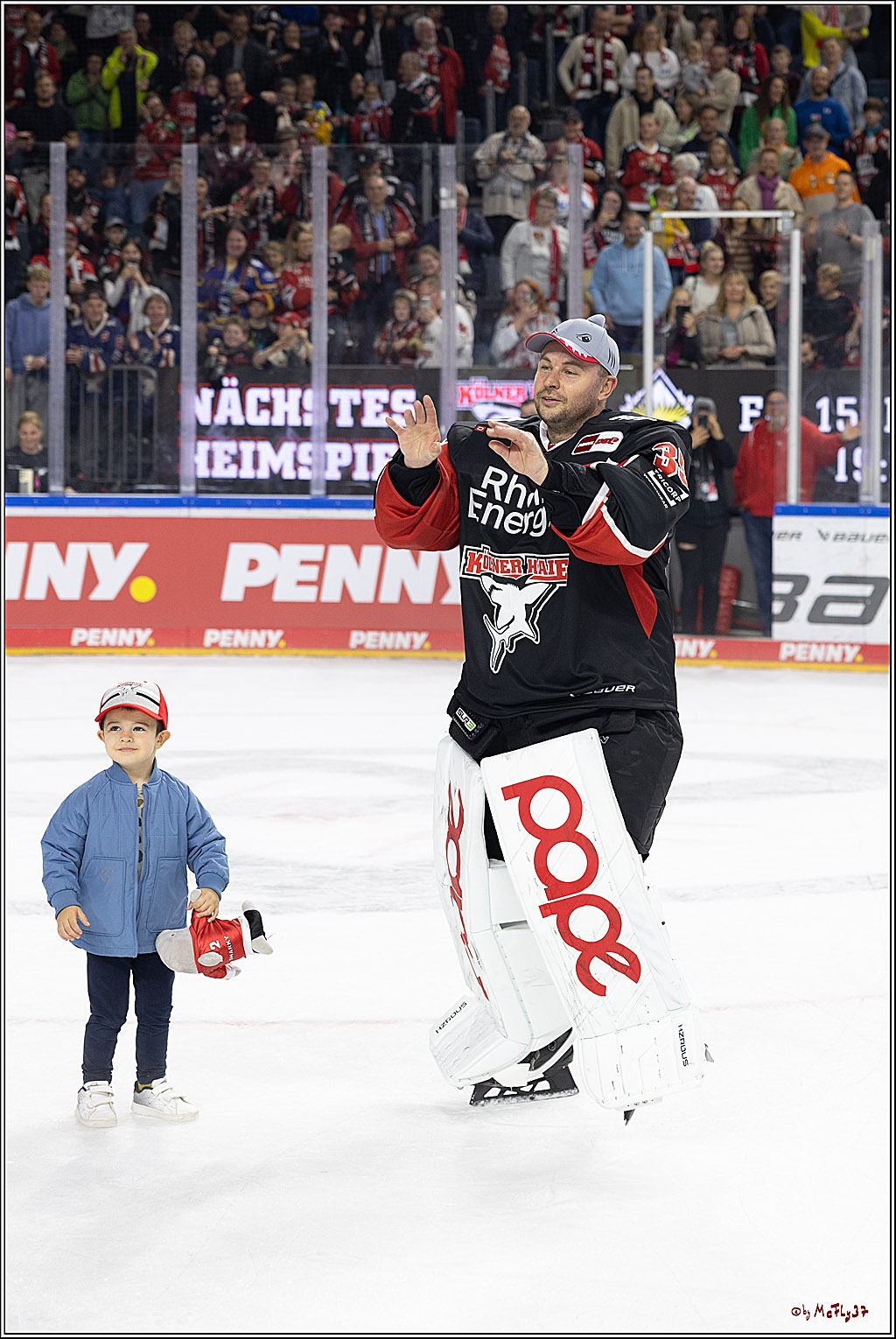 PENNY DEL 1; Kölner Haie - Grizzlys Wolfsburg; Köln, 27.10.2024