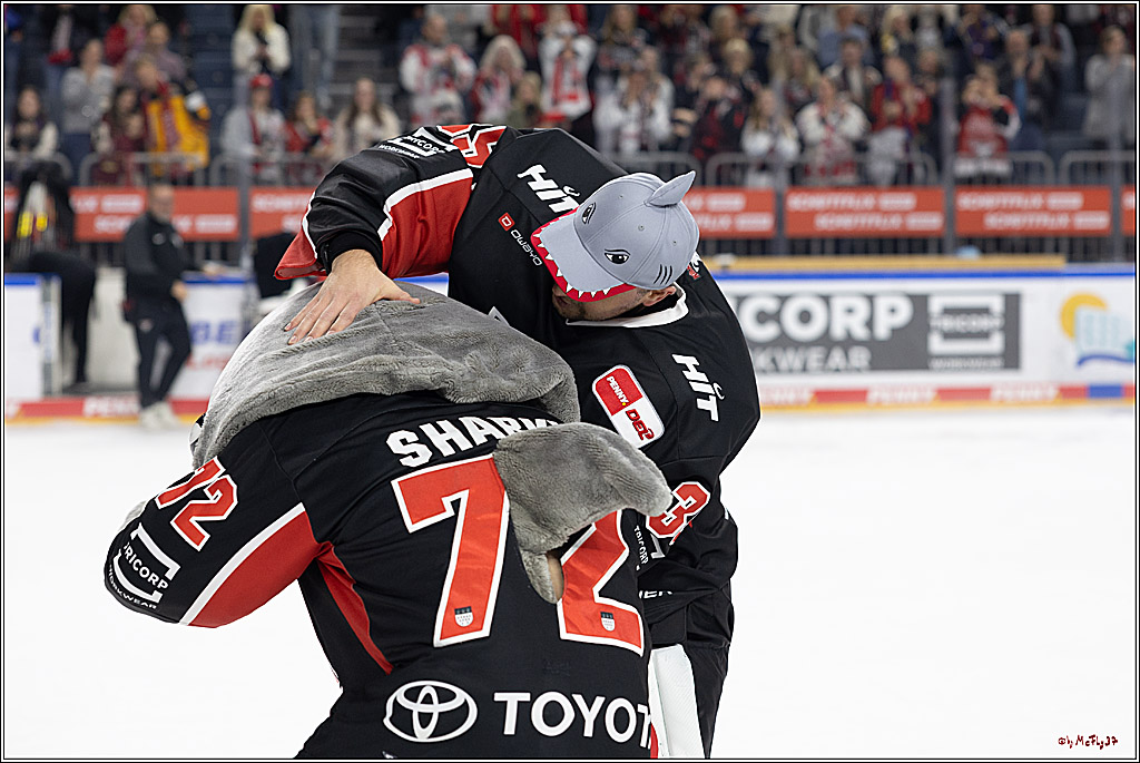 PENNY DEL 1; Kölner Haie - Grizzlys Wolfsburg; Köln, 27.10.2024